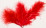 20 plumes de décoration rouges 5,5 cm pour Noël