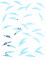 Vue d ensemble des confettis de table en bois Joyeux Anniversaire turquoise