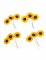 12 fleurs des champs jaunes 2,5 cm type tournesols