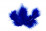 20 plumes de décoration bleu roi 10 x 4 cm pour mariage