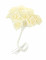 Vue d ensemble du bouquet de mini roses en satin pour mariage