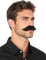 Moustache adhésive noire adulte
