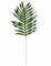 Vue d ensemble de la feuille de palmier phoenix artificielle déco tropicale