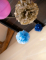 Vue de dessous du pompon à suspendre en papier de soie pour décoration bleu ciel