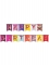 Guirlande en papier happy birthday gâteau d'anniversaire 2,45 m colorée