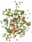 Confettis de table sombrero 34 grammes mexique métallisés