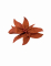 Nœud de poinsettia avec grelots pailleté rouge 20 cm décoration table