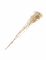 Bouquet de gypsophiles séchées blanc 25 g décoration mariage