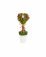 Composition fleurs séchées et roses blanches sur tige dans un pot 18 cm x 8 cm avec noeud en jute
