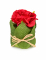 Rose rouge dans un pot en feuillage 8 x 6 cm pour mariage