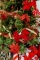 Mise en situation dans un sapin de Noël des suspensions origami losanges rouges et dorées