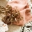 Détail des paillettes cuivrées du 6 branches d eucalyptus Noël féerique