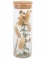 Tube en verre avec plumeaux et eucalyptus 18,5 cm et bouchon liège