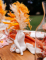 Mise en situation sur une table de fête du bouquet d avoine séché pour décoration moutarde