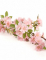 Gros plan sur les fleurs de cerisier artificielles style sakura