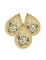 6 ballons en latex boy or girl dorés 23 cm pour gender reveal