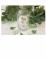Mise en situation sur un verre des stickers ronds Koala