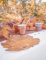 Mise en scène champêtre des assiettes en carton feuille d automne