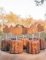 Mise en situation sur des cannelés des pics à cocktail automne citrouille et feuille