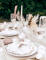 Gros plan sur le dressage de table des assiettes baptême pampas et fleurs de coton
