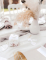 Mise en situation sur une table décorée du contenant baptême pampas et fleurs de coton