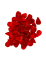 60 Pétales de roses rouges en velours 3 x 5 cm