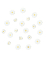 Confettis de table Marguerite