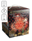 Feu d'artifice portable® luxe proxi, 25 tirs, 45 secondes