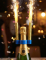 100 Clips bouteille doubles pour fontaine lumineuse