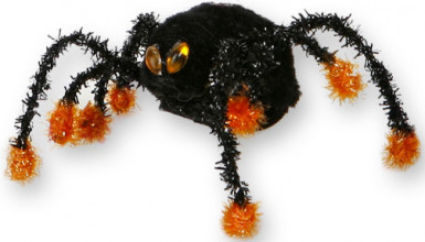 Araignée noire avec des pattes noires