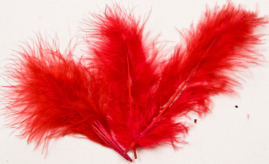 20 plumes de décoration rouges 5,5 cm pour Noël