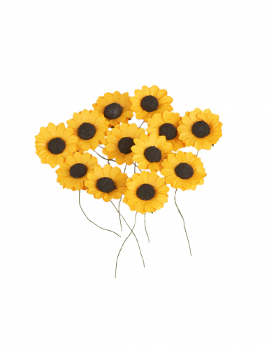 12 fleurs des champs jaunes 2,5 cm type tournesols