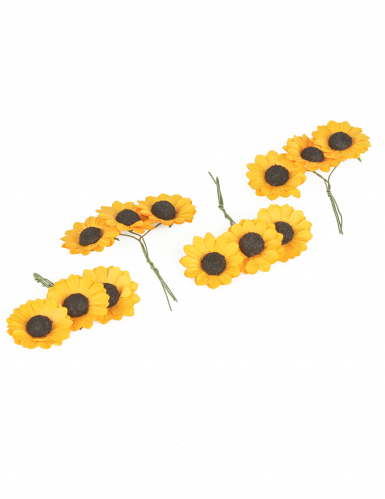 12 fleurs des champs jaunes 2,5 cm type tournesols