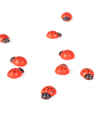 10 coccinelles en bois rouges et noires 1,5 cm pour décoration