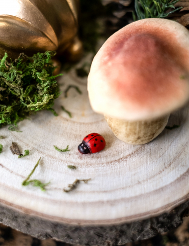 10 coccinelles en bois rouges et noires 1,5 cm pour décoration