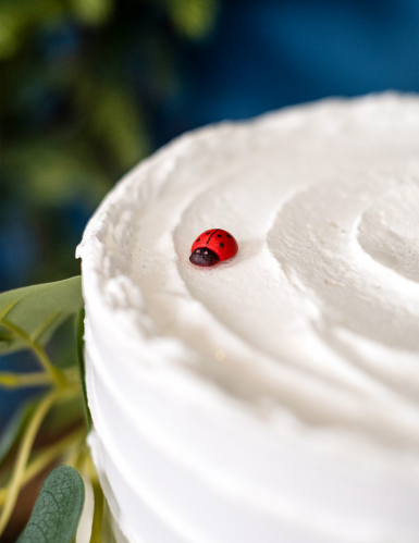 10 coccinelles en bois rouges et noires 1,5 cm pour décoration