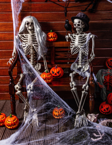 Toile d'araignée blanche avec araignées 20 g Halloween
