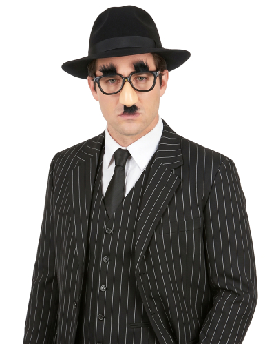 Lunette nez et moustache