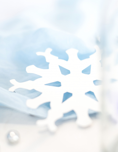 10 flocons de neige blanc en carton 10 cm, décoration de Noël