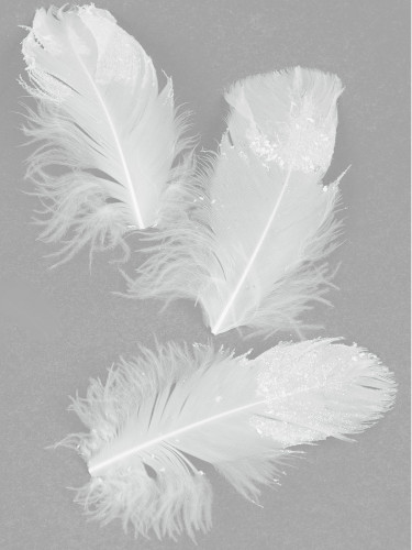 20 plumes blanches pailletées 9 cm scintillantes