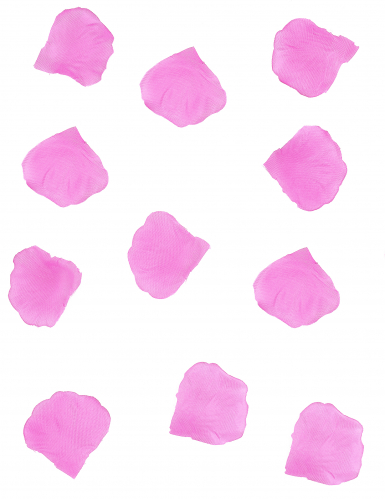 100 pétales de rose en tissu fuchsia 5 x 5 cm pour mariage