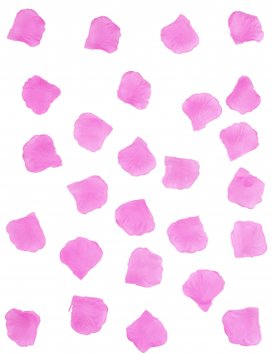 100 pétales de rose en tissu fuchsia 5 x 5 cm pour mariage