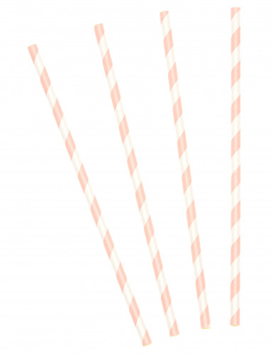 10 pailles en carton rayées rose 19,5 cm pour boissons froides