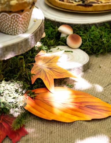 Assortiment de 11 feuilles d'automne en carton