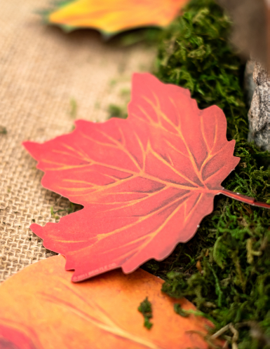 Assortiment de 11 feuilles d'automne en carton
