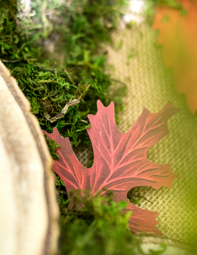Assortiment de 11 feuilles d'automne en carton