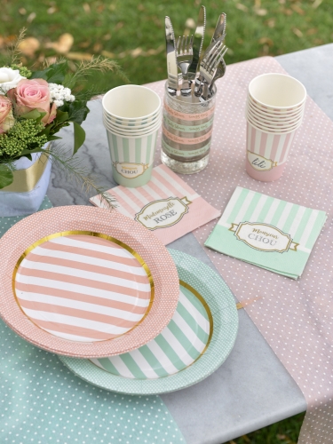 10 assiettes en carton baby shower roses 23 cm à rayures