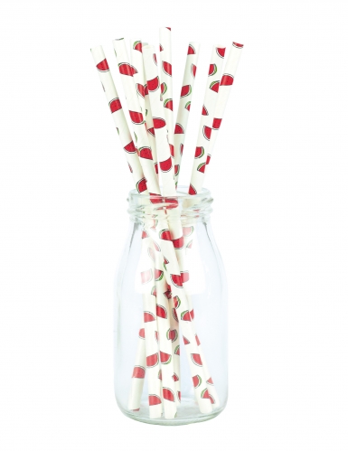 10 pailles en carton pastèques fraîches 20 cm pour cocktails