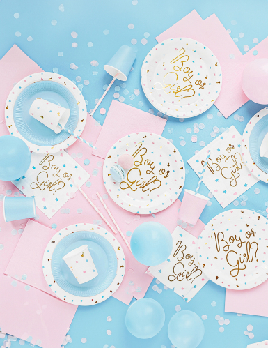 6 assiettes en carton boy or girl blanches 23 cm baby shower