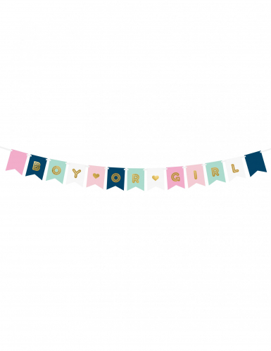 Guirlande en carton boy or girl rose, bleue et dorée baby shower 15 x 175 cm